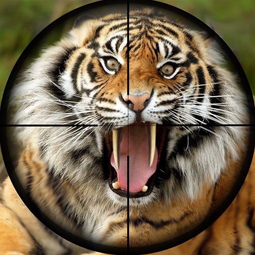 2016 Tiger Hunt Simulator Pro icon