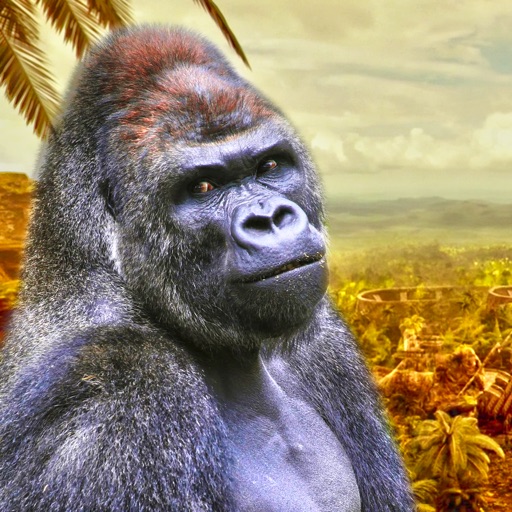 Lady Gorilla at Deep Jungle iOS App