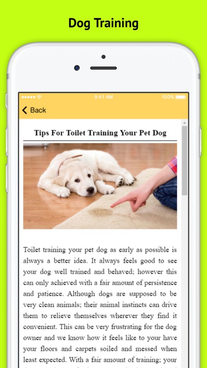 Dog Obedience Training - Basic Commands