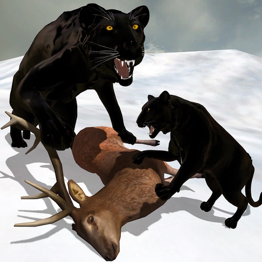Wild Black Panther Simulator: Wildlife Attack Icon
