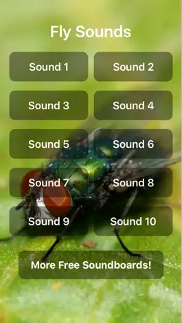 Game screenshot Fly Sounds mod apk