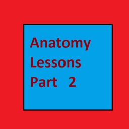 AnatomyLessonsPart2