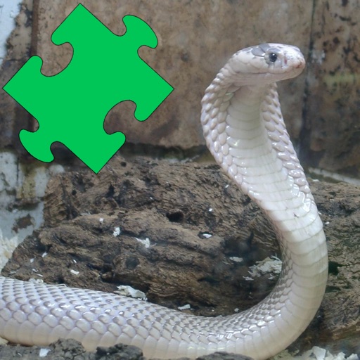 Snakes Amazing Puzzle icon