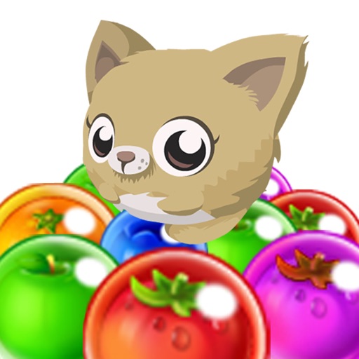 Kitty Bubble Pop GO : Newest Bubble Shooter Pet Recure Puzzle HD 2016 iOS App