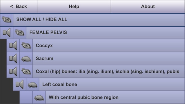 Understanding Female Pelvic Anatomy in 3D(圖3)-速報App