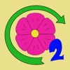 FlowerAround2