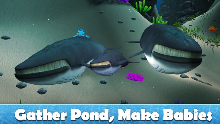 Big Blue Whale Survival 3D Full - Try whale simulator, be ocean animal!