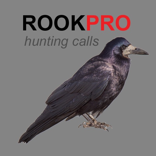 REAL Rook Hunting Calls - 10 REAL Rook CALLS & Rook Sounds! - ROOK e-Caller - BLUETOOTH COMPATIBLE iOS App