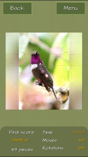 Hummingbirds Jigsaw Puzzles(圖5)-速報App