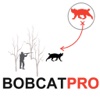 Bobcat Hunting Strategy for Predator Hunting