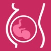 MedGravidez: Manual de gravidez com acompanhamento gestacional para o clínico. Guia da gestação e lactação sobre medicamentos, doenças e emergências obstétricas