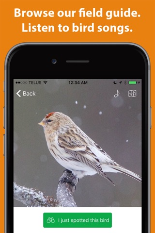 Birder - Log birds you see screenshot 2