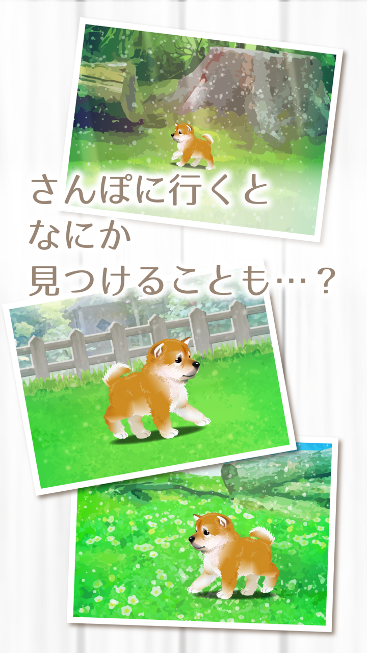 My Dog Life -Japanese Shiba Inu Edition- screenshot 4