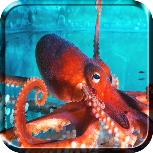 Octopus Wild Spear Sniper Pro - Great White Sea Underwater Attack Hunting Season iOS App