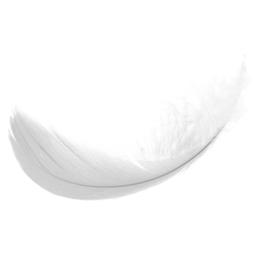 Feather Blow iOS App