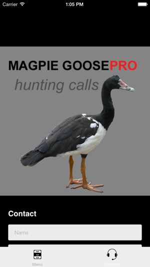 REAL Magpie Goose Calls - Hunting Calls for Magpie Geese - B(圖4)-速報App