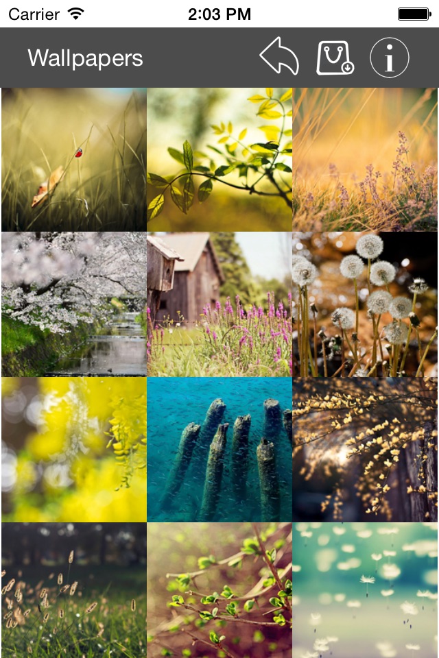 Wallpaper Collection Nature Edition screenshot 3