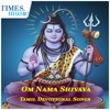 Om Nama Shivaya