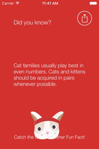 Cat Runner Facts screenshot 4