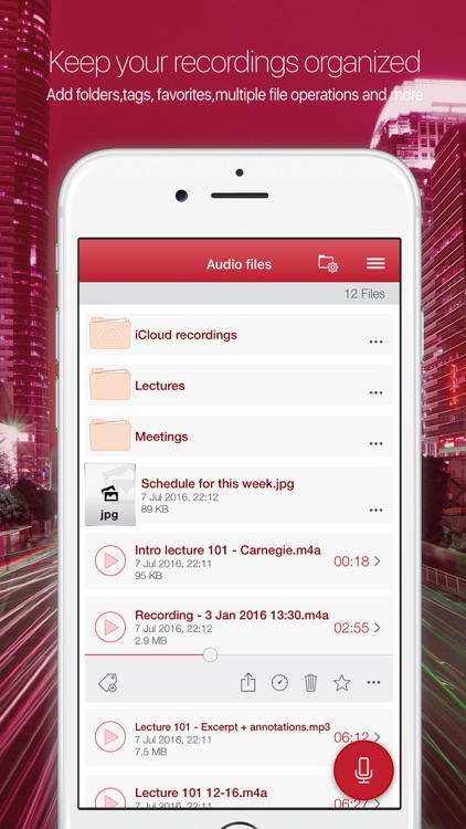Audiologic voice and audio recorder