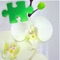 Plants Puzzles Studio - is a great puzzle with beautiful photos and with detailed instructions