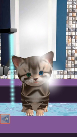 Cute kitten virtual pet, your own kitty to take care(圖2)-速報App