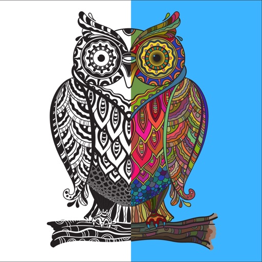 Adult Coloring Book - Animals and Birds Edition