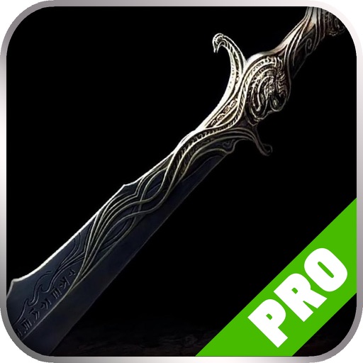 Game Pro - Dark Cloud 2 Version iOS App
