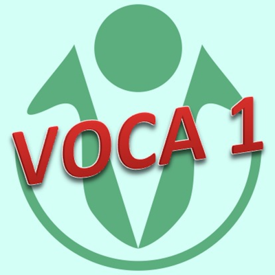 VOCA1