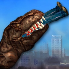 Activities of NY Rex