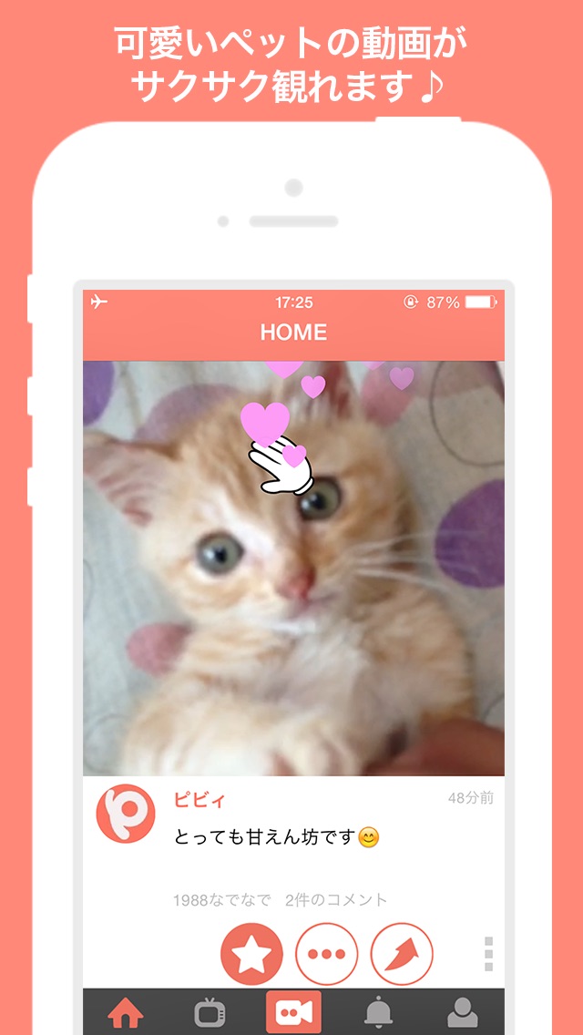 犬や猫の動画がいっぱい 動画編集も簡単 Pivid のアプリ詳細とユーザー評価 レビュー アプリマ