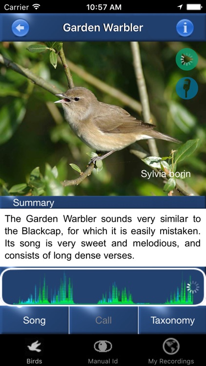 Bird Song Id Automatic Recognition & Reference - Birds of the British Isles