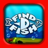 Find D Fish