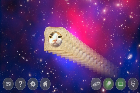 Cats In Space! screenshot 4