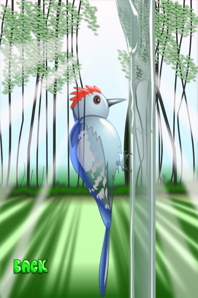 Woodpecker Mania screenshot 4