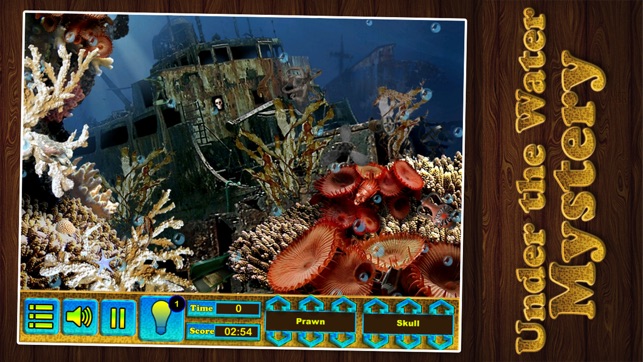 Hidden Object,Hidden Objects,Under Water Mystery,Case solved(圖3)-速報App