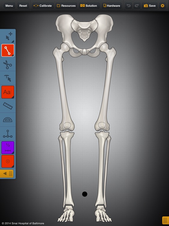 Bone Ninja