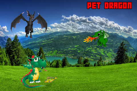 A Pet Dragon screenshot 2