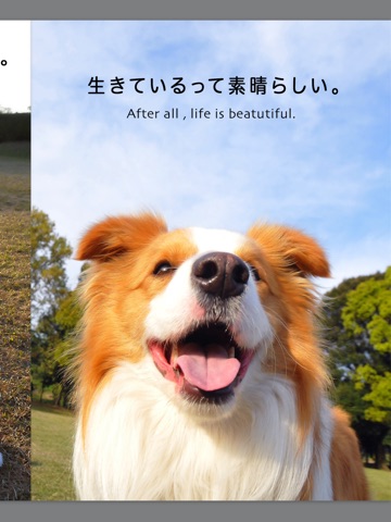 スクリーンショット 1