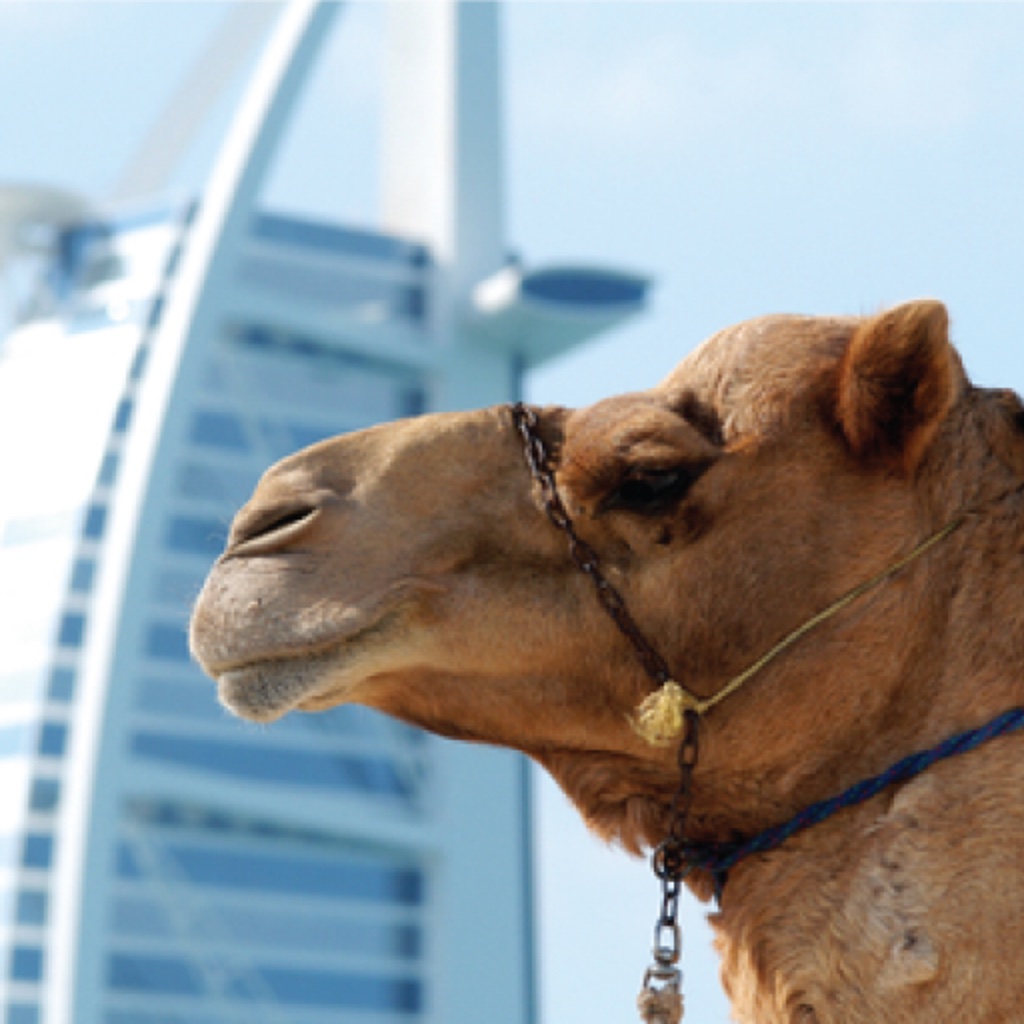 Dubai Essential Guide icon