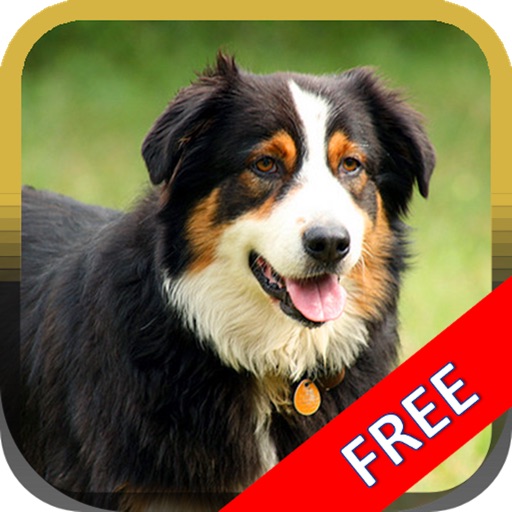 Dogs Puzzle HD.. iOS App