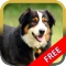 Dogs Puzzle HD..