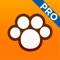 5-Star app Perfect Dog Pro now available in HD for the iPad