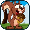 Squirrel Nuts Collection - Crazy Animal Maze Game FULL by Pink Panther
