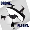 DroneFlight