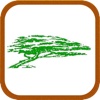 Branch Out Tree Service - Maui Hawaii - Tree Trimming, Removal and  Emergency Service