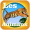 Animaux : jeux et sons