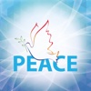 Peace Expert Academy