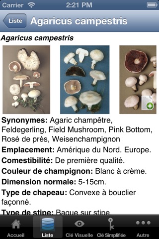Roger's Mushrooms (Lite) screenshot 3