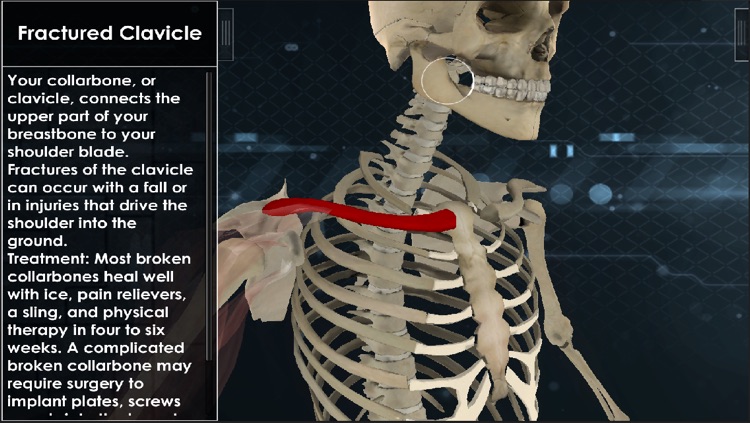 Interactive Athlete